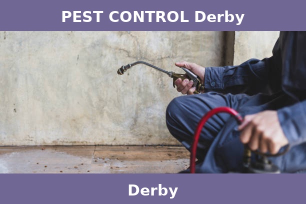 PEST CONTROL Derby